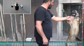 800 bin TL'lik güvercinlere servet gibi koruma! Kamera, çelik kapı ve kurt köpeği