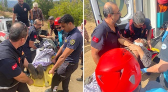 73 yaşındaki kadın ağaçtan düştü