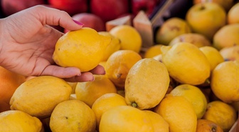 Limon üreticide 7 lira, markette 51 lira! TZOB raporunda fiyat farkı yüzde 633'ü aştı