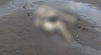 Samsun Terme'de sahildeki insan iskeletinin üzerinde mayoya benzer kıyafet bulundu
