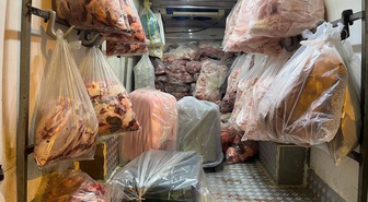 Sapanca gişelerinde jandarma durdurdu: Kamyonet kasasından yaklaşık 3 ton kaçak et çıktı!