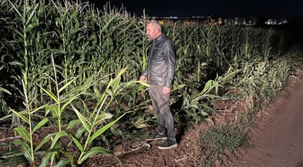 Domuz sürüsü mısır tarlasını talan edince gece boyu nöbete başladı! Karşılaştığı ilk domuzu avladı