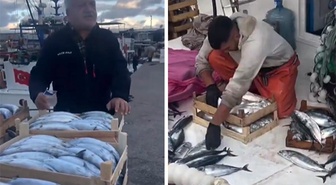 Karadeniz bereketi tezgaha vurdu! Palamut 50 liraya kadar düştü