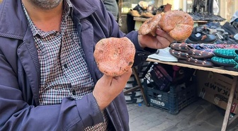 Ormandan topluyorlar, kilosunu 500 liradan satıyorlar