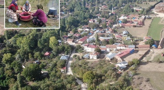 Osmanlı mutfağının vazgeçilmez meyvesi üryani eriğinin hasadı başladı