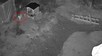 Kamera kaydını izleyen Sivaslı vatandaşı dehşete düşüren görüntü