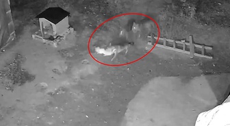 Kamera kaydını izleyen Sivaslı vatandaşı dehşete düşüren görüntü