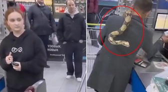 Mağazaya pitonuyla girdi! Kaç yılanın var sorusuna bomba bir yanıt verdi