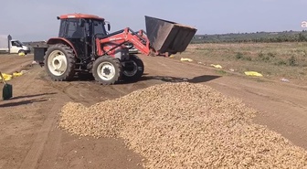 Tohumu 300 lira, ürünü 50 lira etmiyor! Çiftçiler dereye dökecek