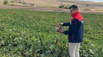 Çiftçinin beklediği haber geldi! Şeker pancarı alım fiyatı belli oldu, tam yüzde 20 artış