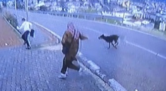 Bursa'da durakta köpek dehşeti! Kaçmak için yüksekten atlayan 11 yaşındaki çocuğun bacağı kırıldı