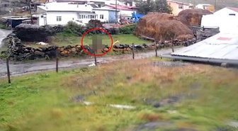 Türkiye'nin diğer ucundan güpegündüz dehşete düşüren görüntü