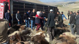 Erzurum'da 300 küçükbaş taşıyan tır virajda devrildi! 130 hayvan telef oldu