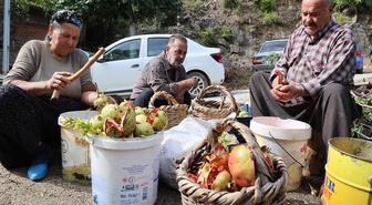 Adana Kozan'da 80 yaşındaki Yeter Yiğenoğlu, 1,5 ton narı nar ekşisine dönüştürüyor