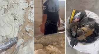 Fırında mide bulandıran görüntüler! Hamam böceği ve sigara izmaritinden geçilmiyor