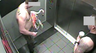 Las Vegas'ta otelden flamingo çalan Kanadalı turist suçlu bulundu: 30-40 bira içmiş