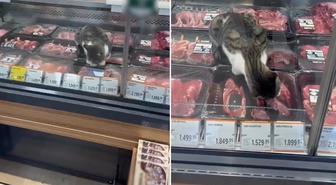 Türkiye'nin ünlü zincir marketinde pes dedirten görüntü!