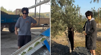 Oyunculuğa ara veren Filiz Taçbaş Foça'ya yerleşti; zeytin hasadına başladı