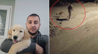 Hatay'da cebinden çıkardığı tasmayı takıp götürdü! Ailenin köpeği Tomi kamerada böyle çalındı