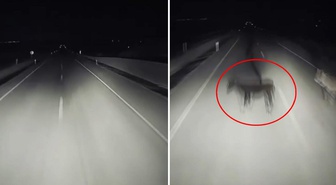 Görüntü Türkiye'den! Gecenin karanlığında dehşete düşüren olay