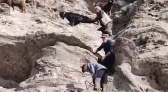 Tunceli'de 70 metre yükseklikte mahsur kalan keçiler için seferber oldular! O anlar kamerada