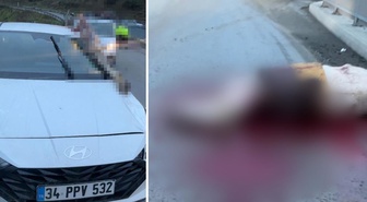 Korkunç kazada akıl almaz olay! Atın kopan bacağı araca saplandı