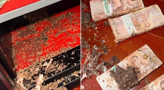 Ne hırsız ne dolandırıcı! Bir servet böyle yok oldu