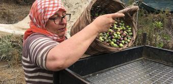 Para var ama çalışan yok: Günlük 3 bin TL maaşla işçi aranıyor