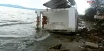 Kırklareli - Iğneada'Da Deniz Taştı, Balıklar Kıyıya Vurdu