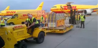 Nesli Tükenmekte Olan Kaplanlar, DHL Express ile Londra'da