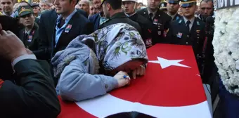 Türkiye'de 2012 Böyle Geçti