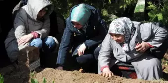 Talihsiz Doktor, Ağabeyi Gibi Kazada Öldü