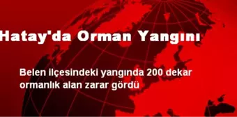 Hatay'da Orman Yangını