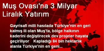 Muş Ovası'na 3 Milyar Liralık Yatırım