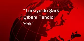 'Türkiye'de Şark Çıbanı Tehdidi Yok'