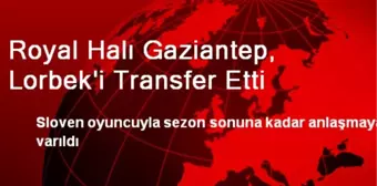 Royal Halı Gaziantep, Lorbek'i Transfer Etti