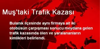 Muş'taki Trafik Kazası