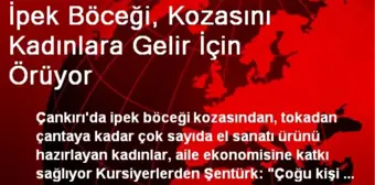 İpek Böceği, Kozasını Kadınlara Gelir İçin Örüyor