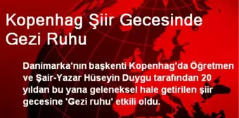 Kopenhag Şiir Gecesinde Gezi Ruhu