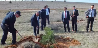 Kütahya'da 'Polis Hatıra Ormanı' Oluşturuldu