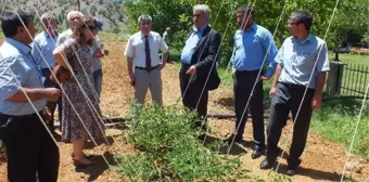 Pütürge'de Organik Tarım ve Sebzecilik Toplantısı