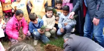 Ayvalık'ta Öğrenciler Ağaç Dikerek Orman Sevgisini Öğrendi