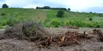 Köylülerden Barınak Tepkisi