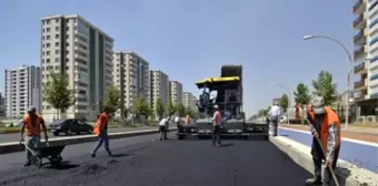 Güneş Altında Asfaltlama Çalışmaları Devam Ediyor