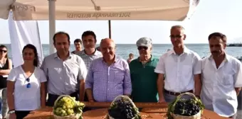 Tekirdağ'ın En Güzel Üzümleri Seçildi