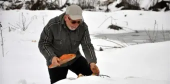 Avcılar Bu Sefer Avlamak İçin Değil, Yemlemek İçin Dağlarda