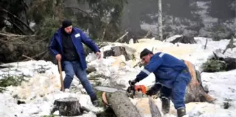 Cerattepe'de Çevrecilere Coplu ve Gazlı Müdahaleden Sonra, Maden Şirketi İşe Başladı