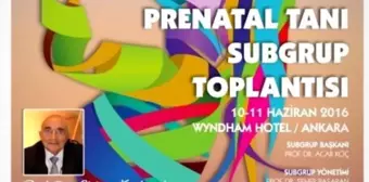 Fetal Tıp ve Prenatal Tanı Subgrup Toplantısı