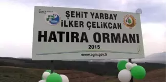 Yanan Orman Alanına 3 Bin Fidan Dikildi