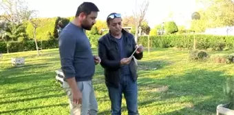 Turgut Özal'ın Papağanı Cabbar'ın Çalındığı İddiası